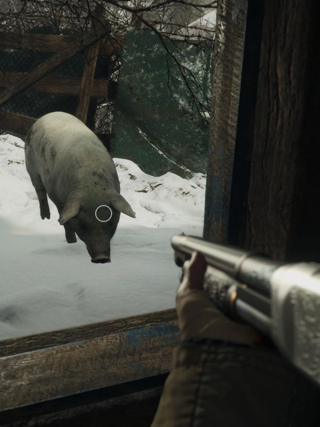 An easy guide on how to get fish, meat and more in Resident Evil