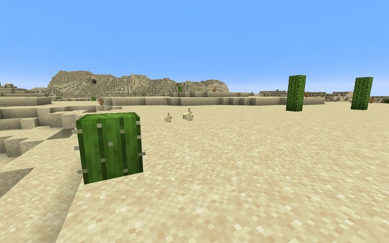 5 reasons why players love desert biomes in Minecraft Sportskeeda Stories
