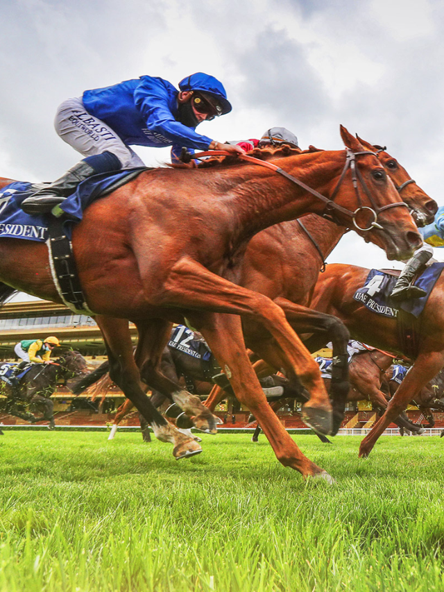 dead-heat-betting-in-sports-sportskeeda-stories